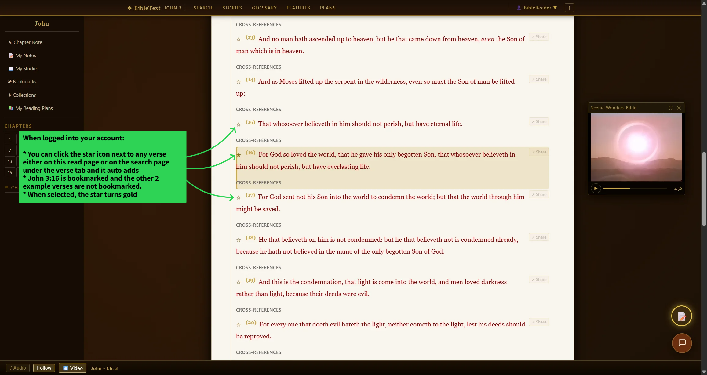Bookmark Verse tab — close-up of this tool