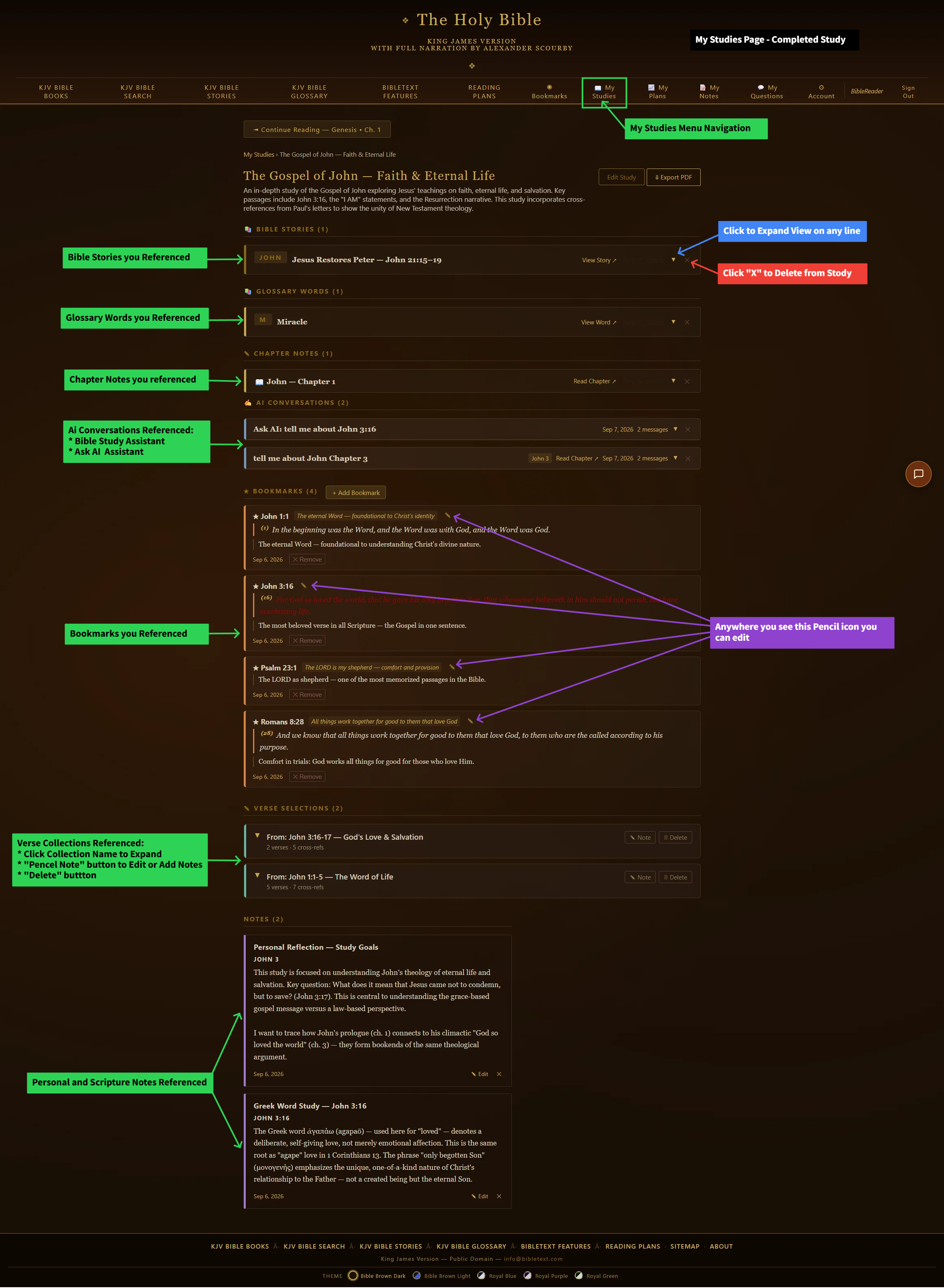 10. Study Overview tab — close-up of this tool