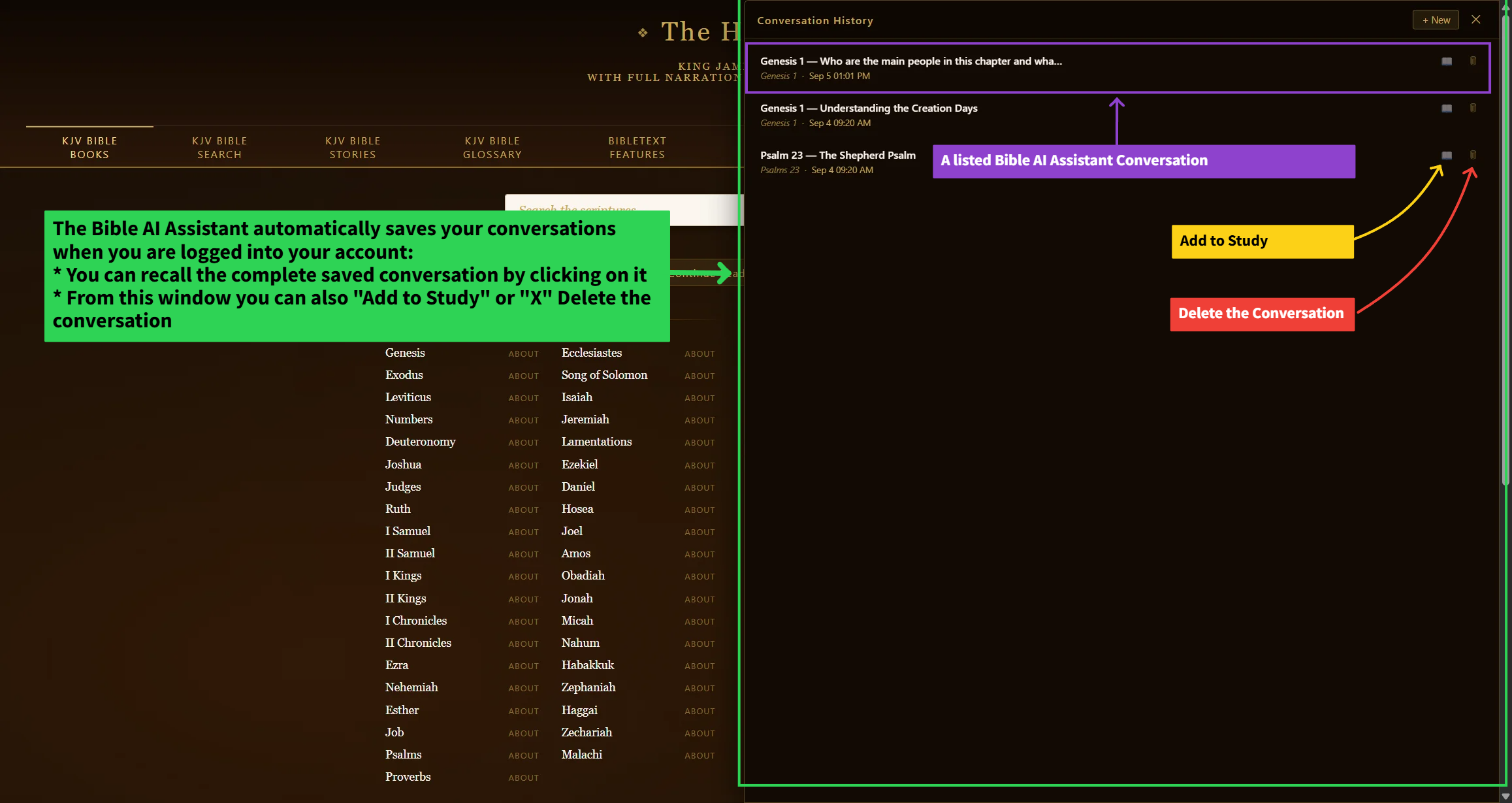 2. Chatbot History tab — close-up of this tool