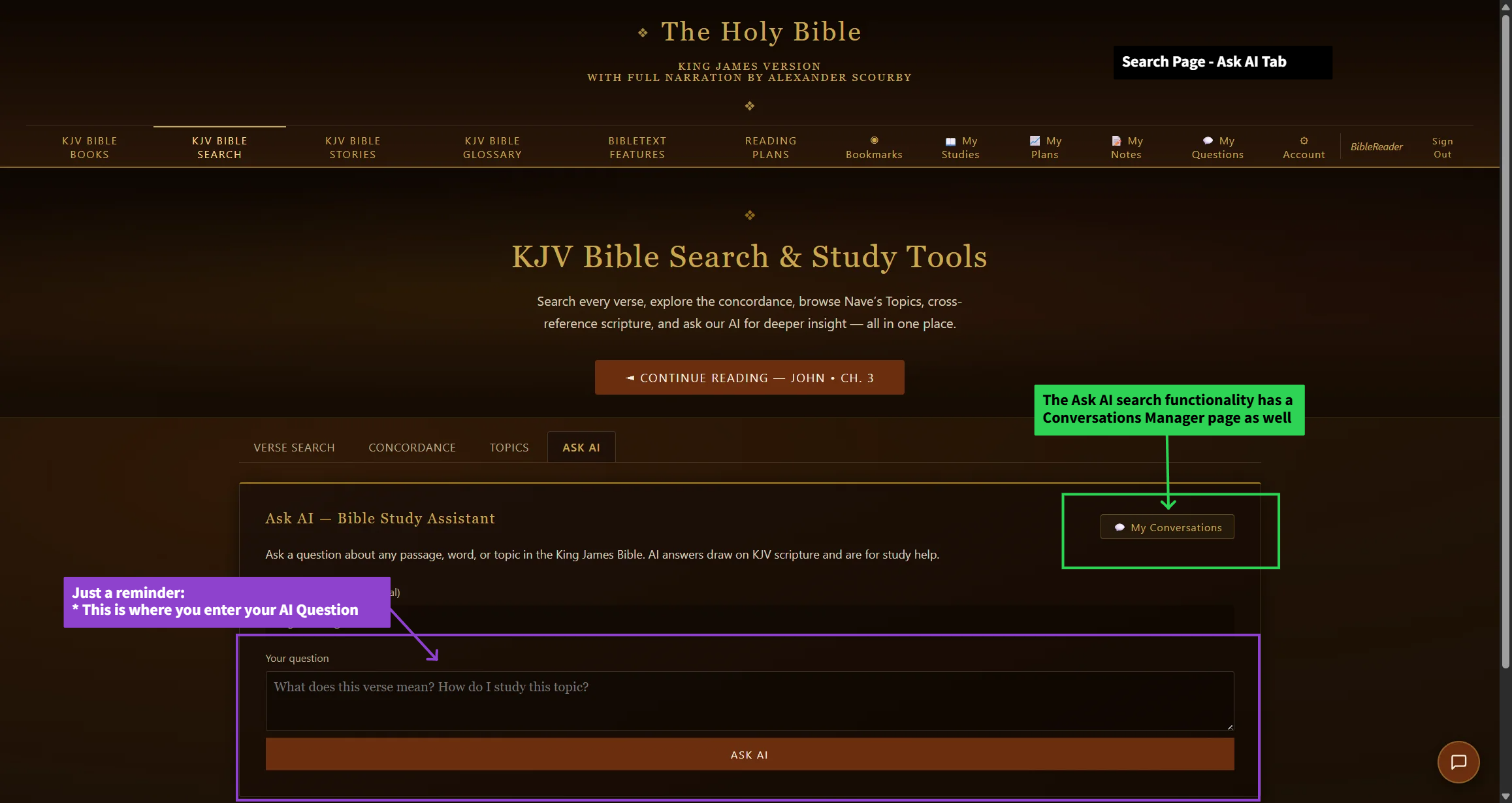 3. Ask AI Overview tab — close-up of this tool