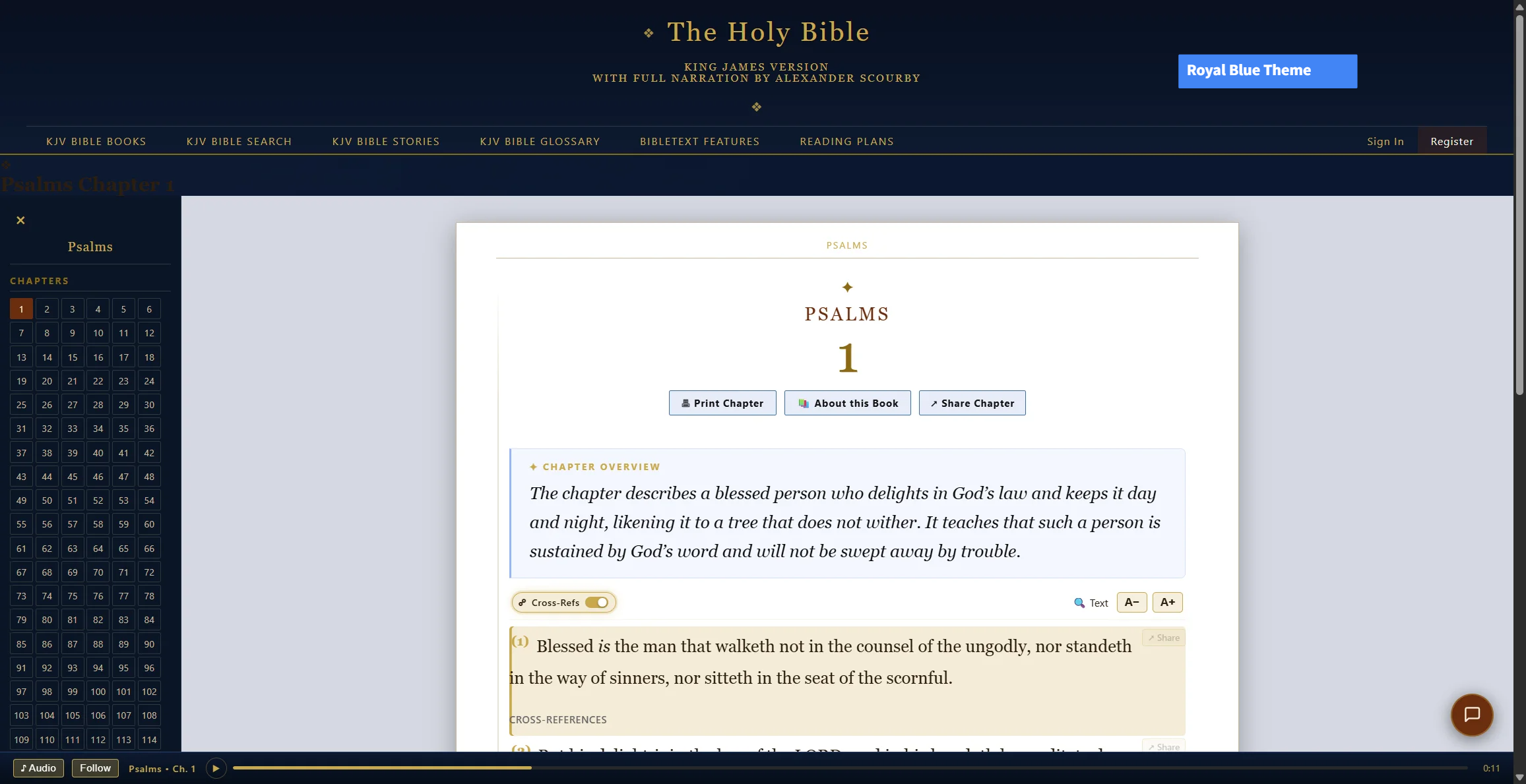 Royal Blue theme — the reading page